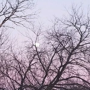 Meet your Posher, Breanna